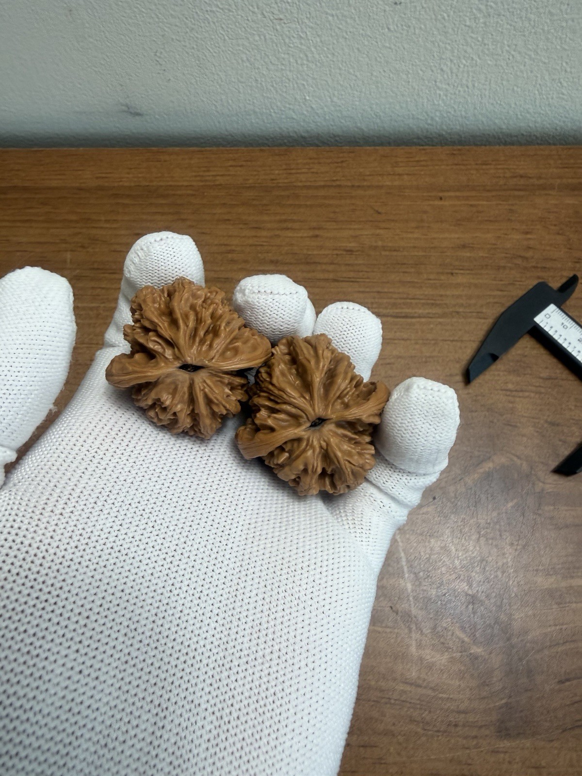 Pair of Match Chinese Health Walnut 精品老树高装麦穗虎头文玩核桃 40x36x34 已打底 配底座手套和刷子
