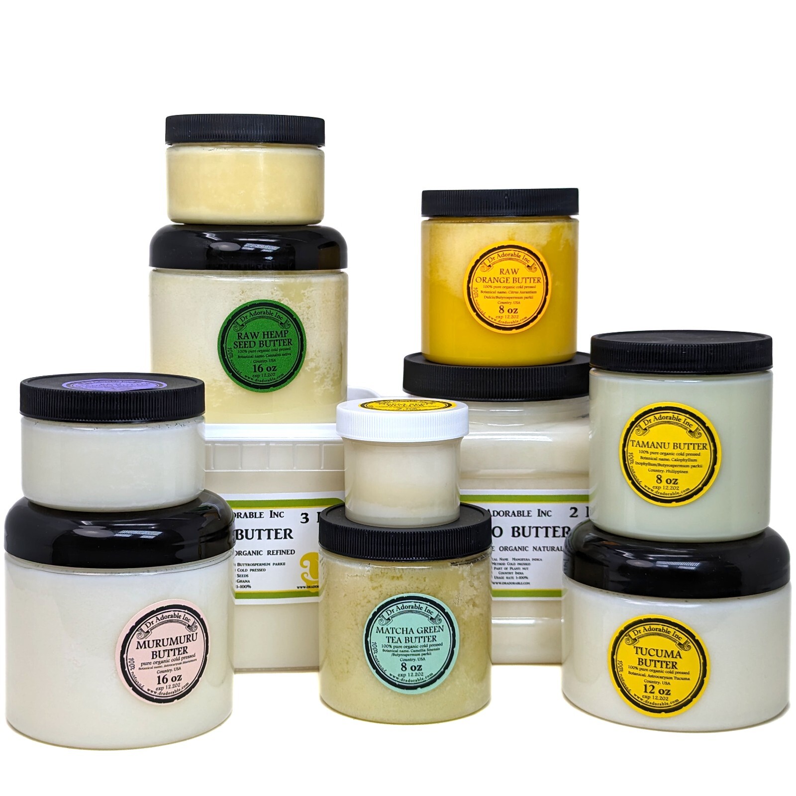 Premium Pumpkin Seed Butter Organic Skin Body Hair Health Care Cosmetic Purposes