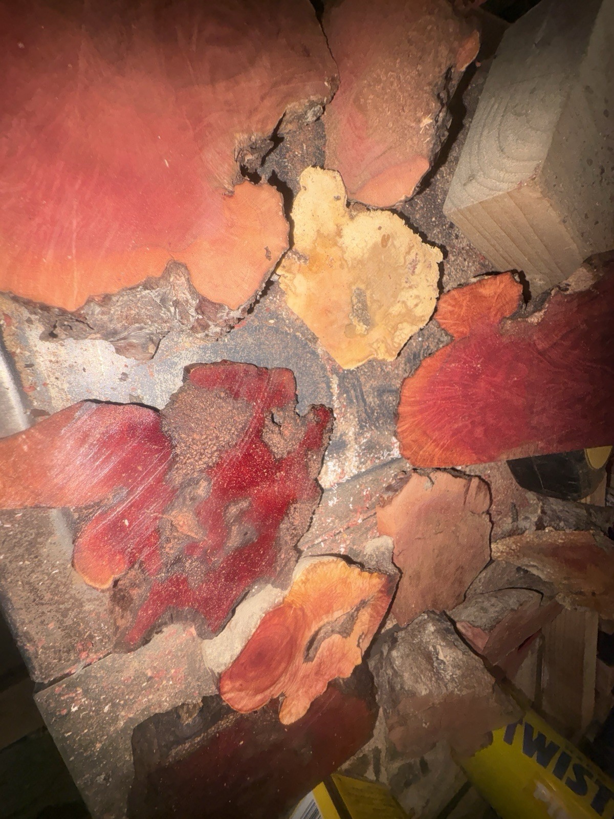 ALL SIZES Burl Wood Natural Unfinished Lumber for Crafting and Woodworking