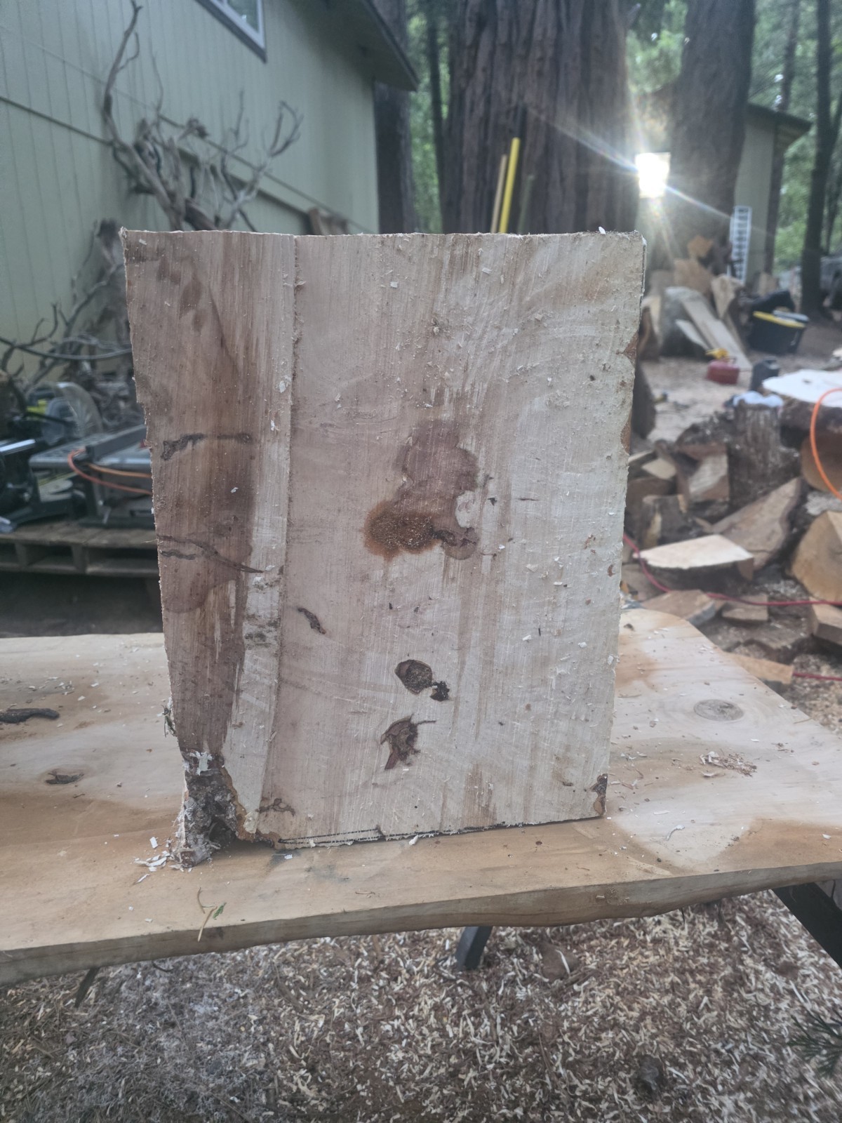 Last One. Birdseye Maple Bowl Blanks Rough 16x12x12 C114-BEM