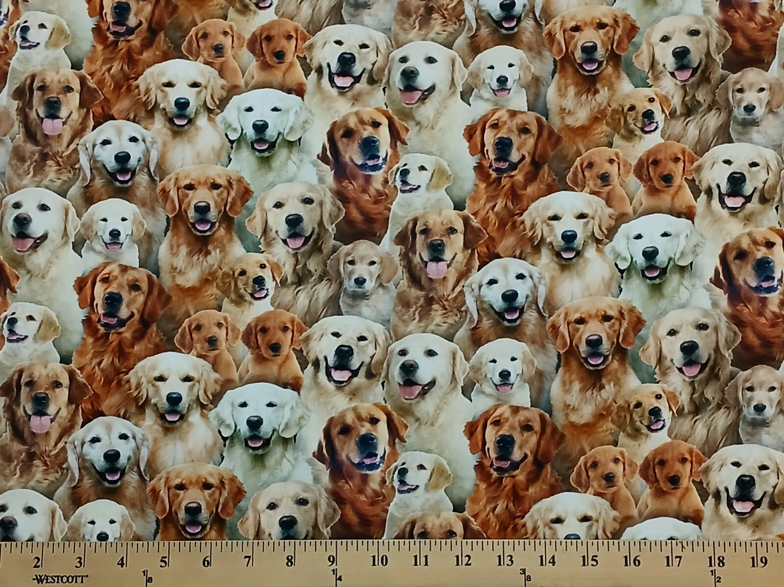 Cotton Best Friend Retrievers Dogs Cotton Fabric Print by the Yard D759.63