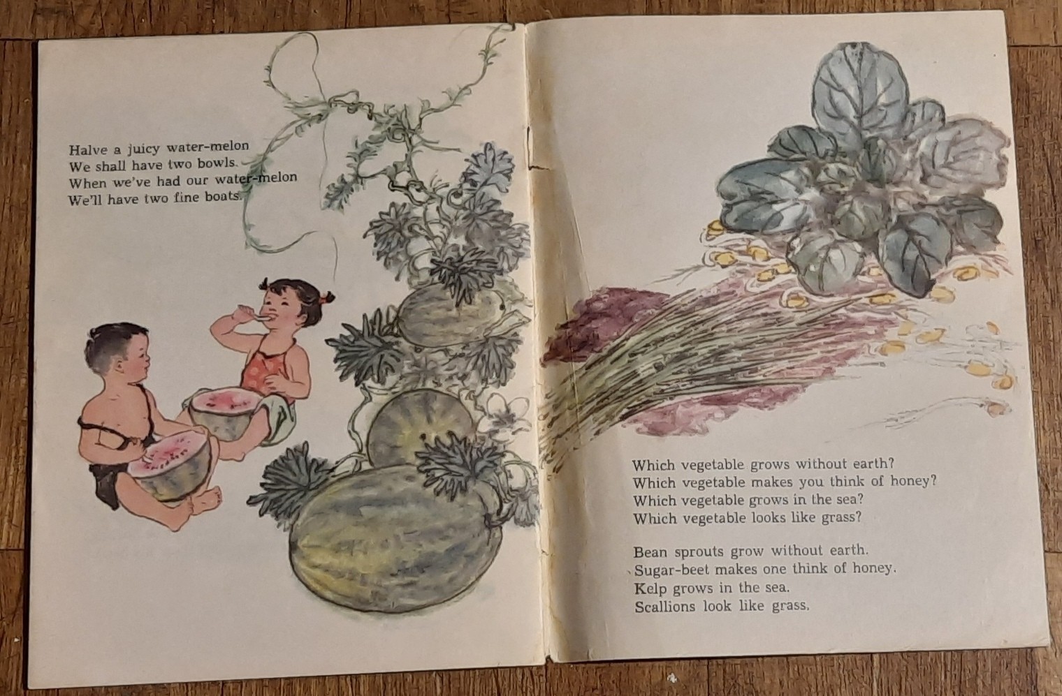Chinese Painting English China book Fairy Tale Kid 1965 Fun Garden Vegetable Old