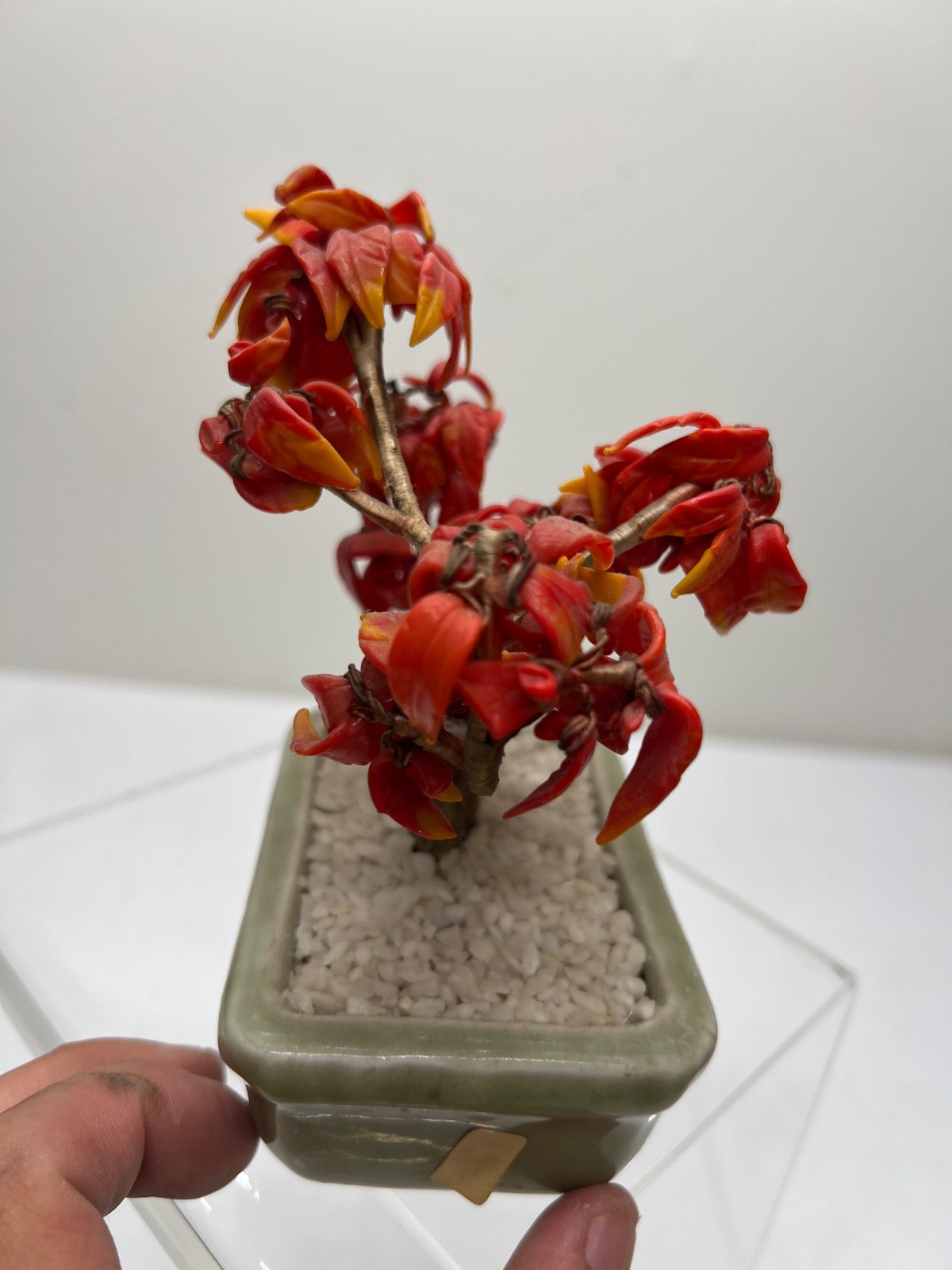 Antique Chinese Jade Tree Oriental Bonsai Jade Plant