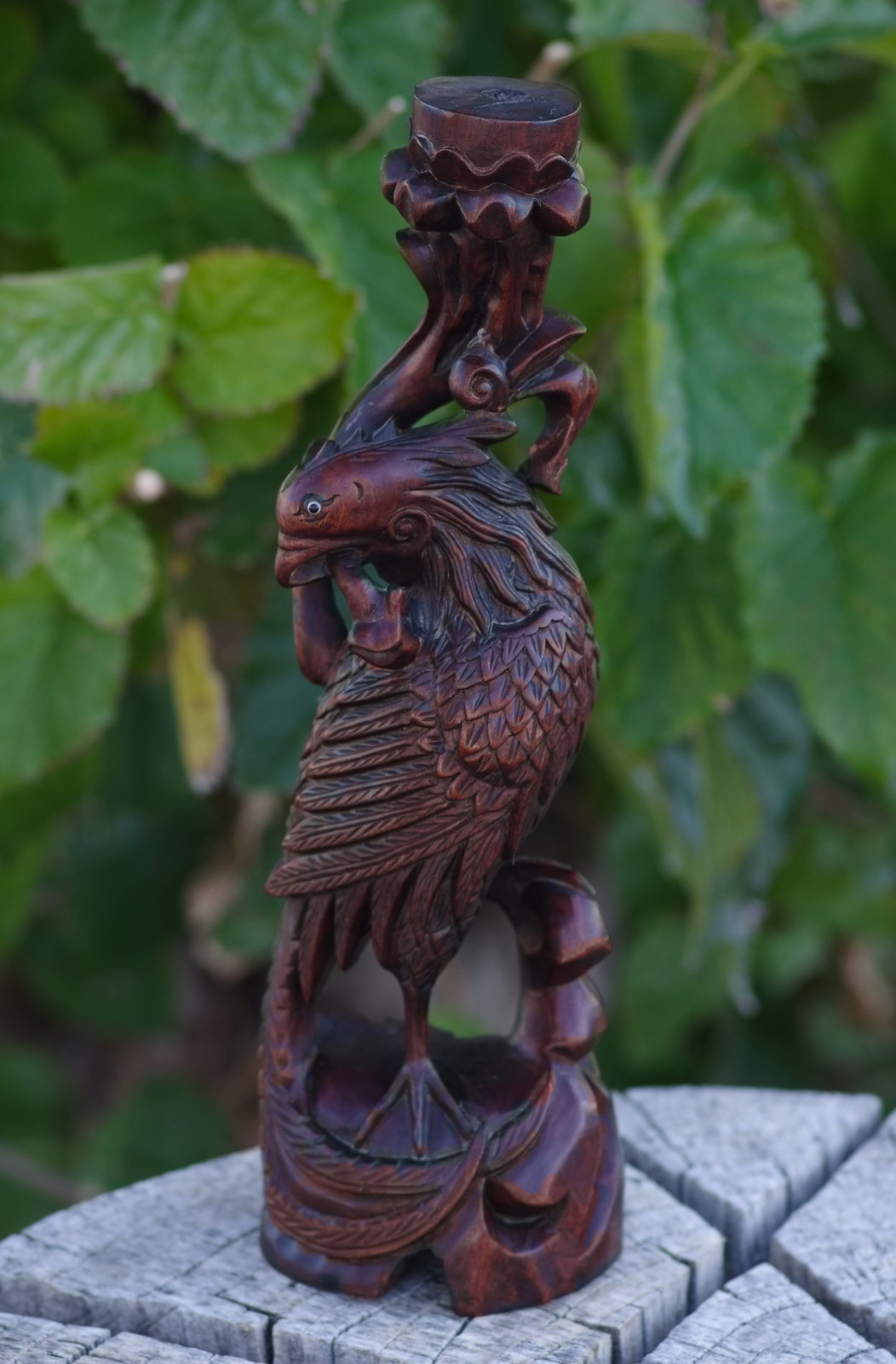 Oriental Boxwood Hand Carved Phoenix 12″ China 1950’s MAGNIFICENT SKILLFUL ART!