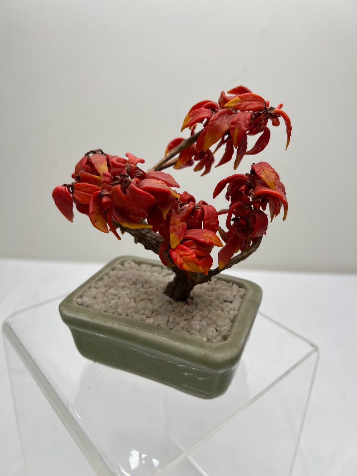 Antique Chinese Jade Tree Oriental Bonsai Jade Plant