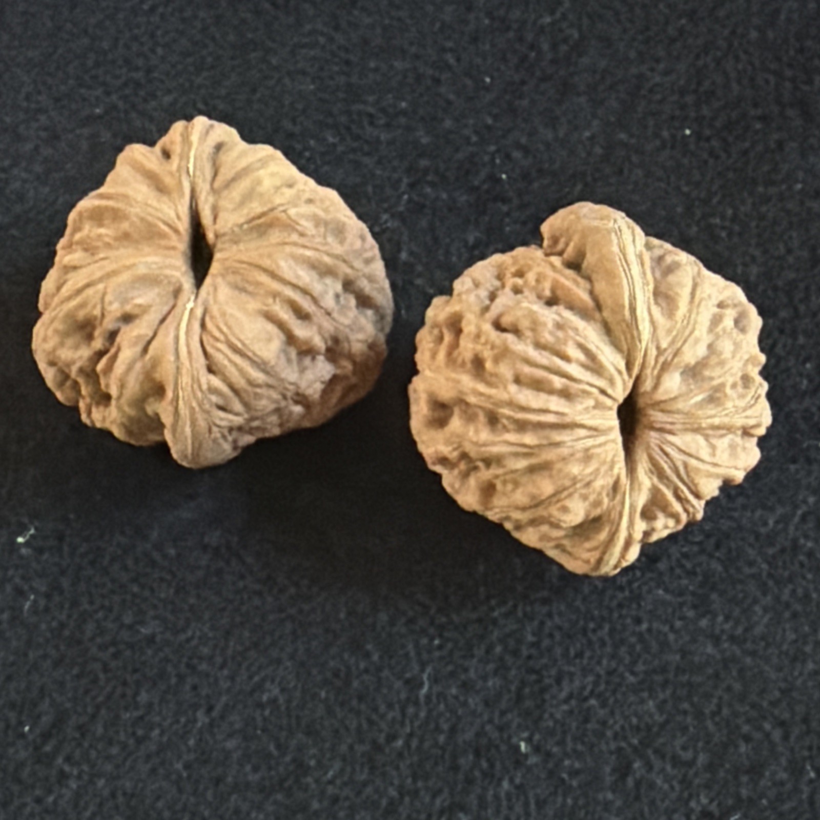 文玩核桃 Ornamental Walnut · Chinese Pocket Curio 2026年新开，精配对无修无打底，#192