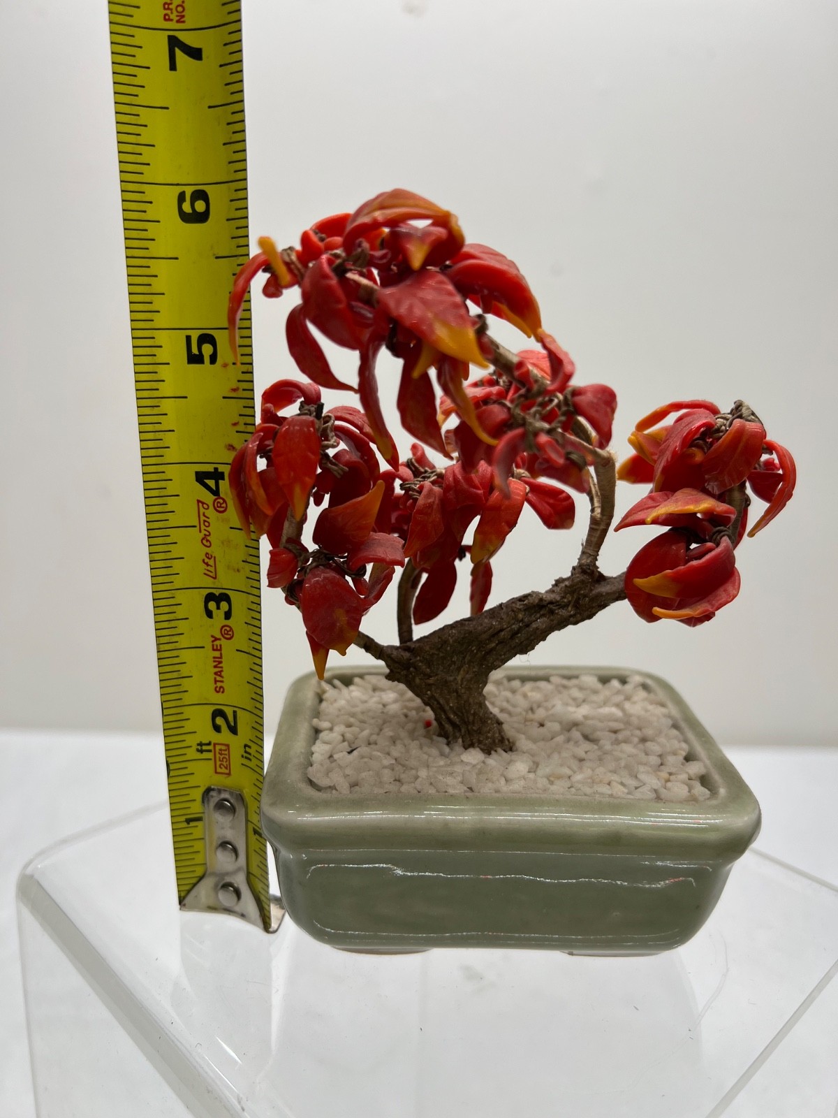 Antique Chinese Jade Tree Oriental Bonsai Jade Plant