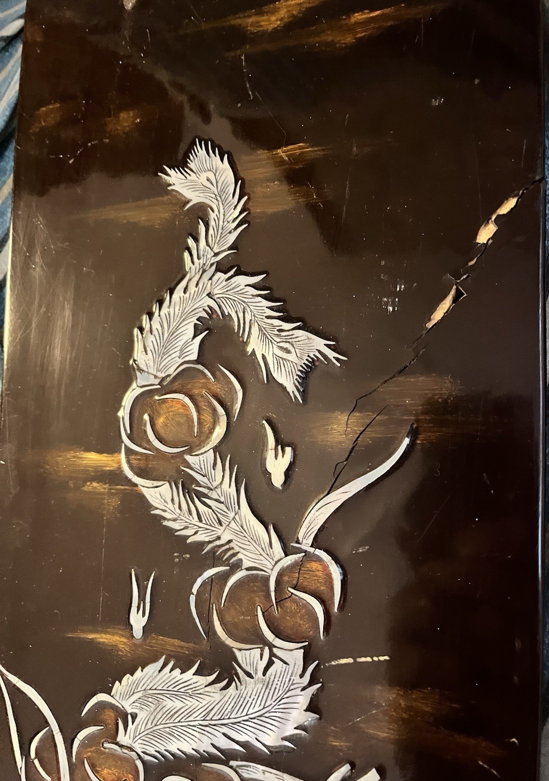 Asian Lacquer Panel Mother of Pearl Inlay Bird Plumage Vintage Wall Art Oriental