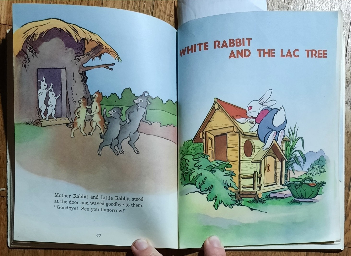 Chinese China Painting Story Fairy Tale English Book Animal Goes Boat Bear Hare