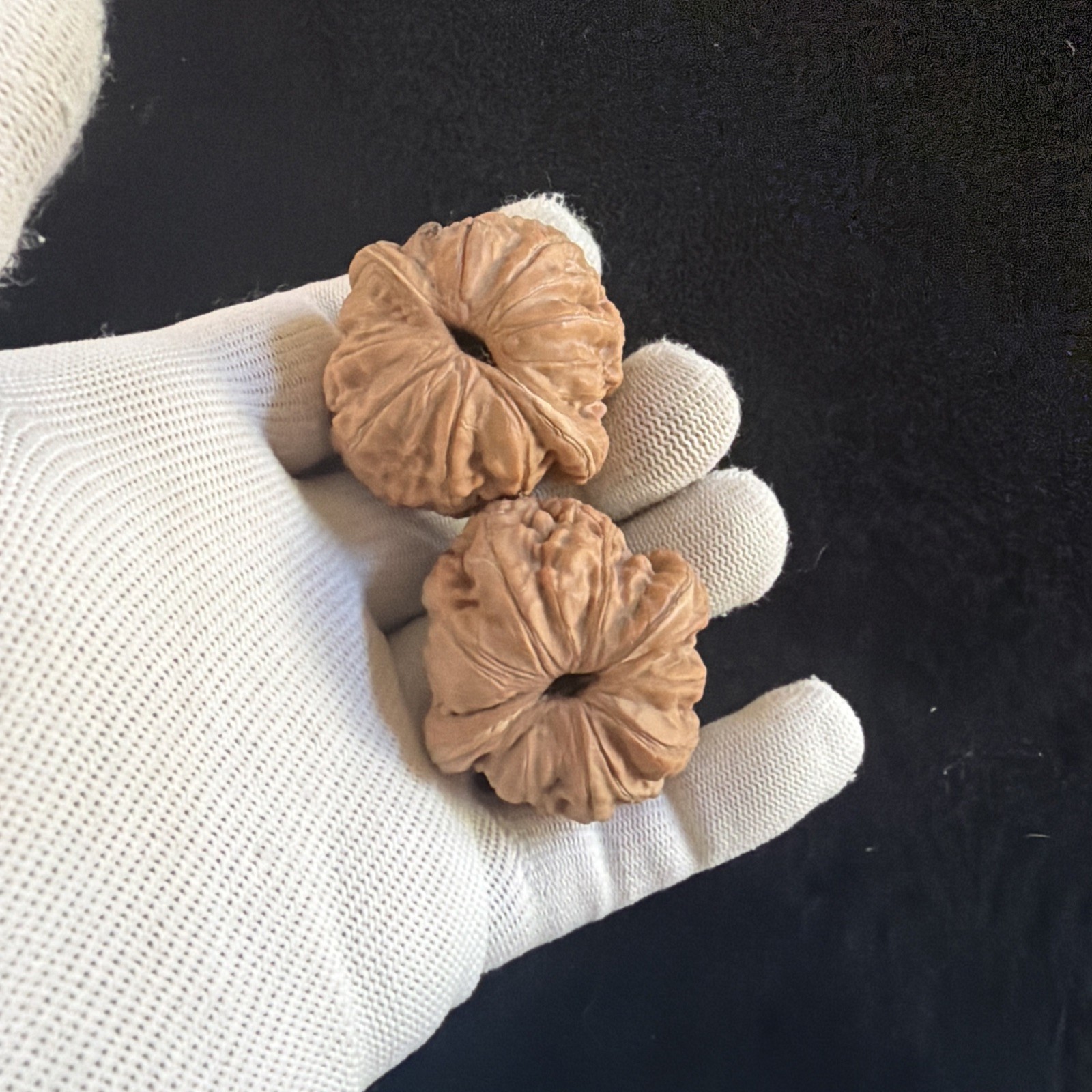 文玩核桃 Ornamental Walnut · Chinese Pocket Curio 2026年新开，精配对无修无打底，#185