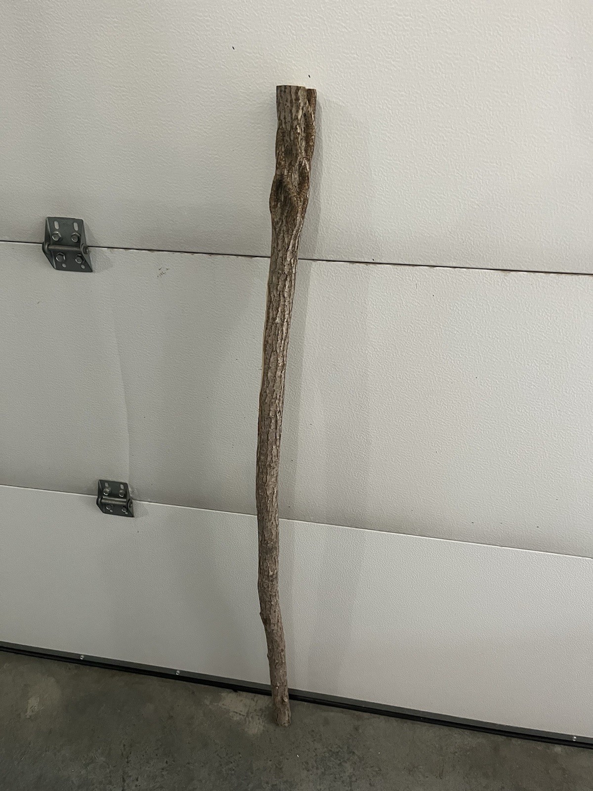 Diamond Willow Cane (You Carve 💎s): 46″ Walking Stick, Twisted wood, Colorful
