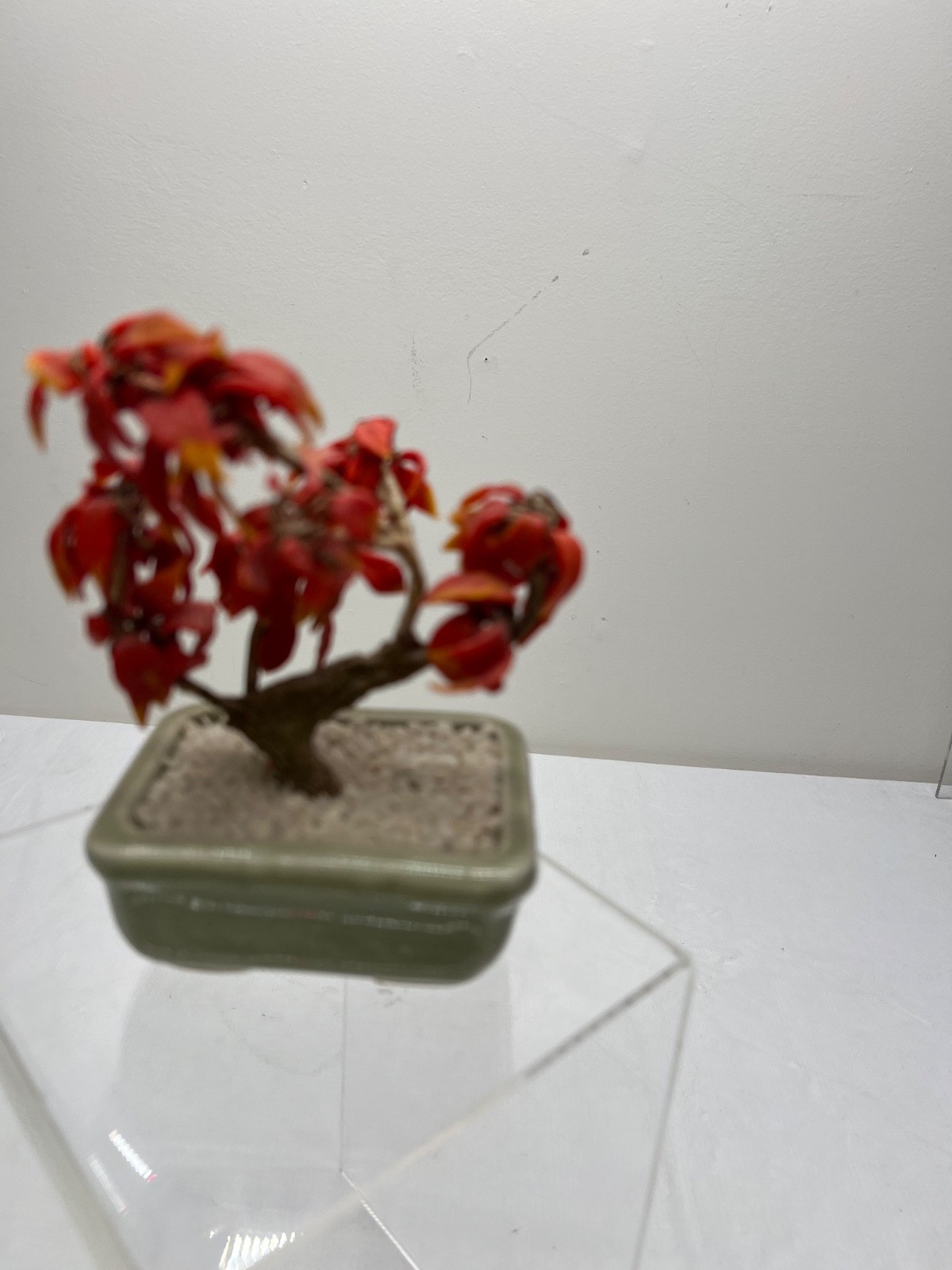 Antique Chinese Jade Tree Oriental Bonsai Jade Plant