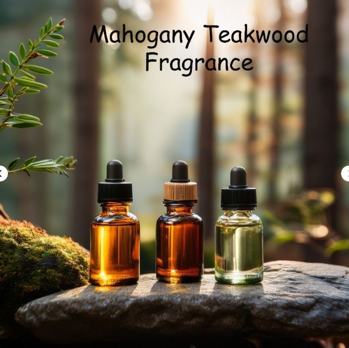 AngelitCandles Apple Cinnamon Fragrance Oil 2 oz for Candles Soaps & Diffusers
