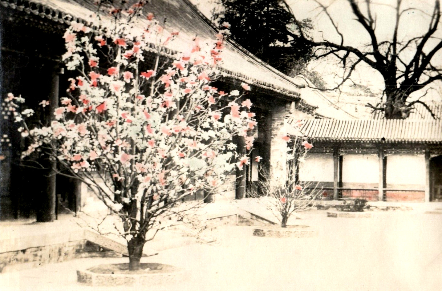 C. 1900-10 Peking China Forbidden City Hand Tinted Original Photo 12 K1
