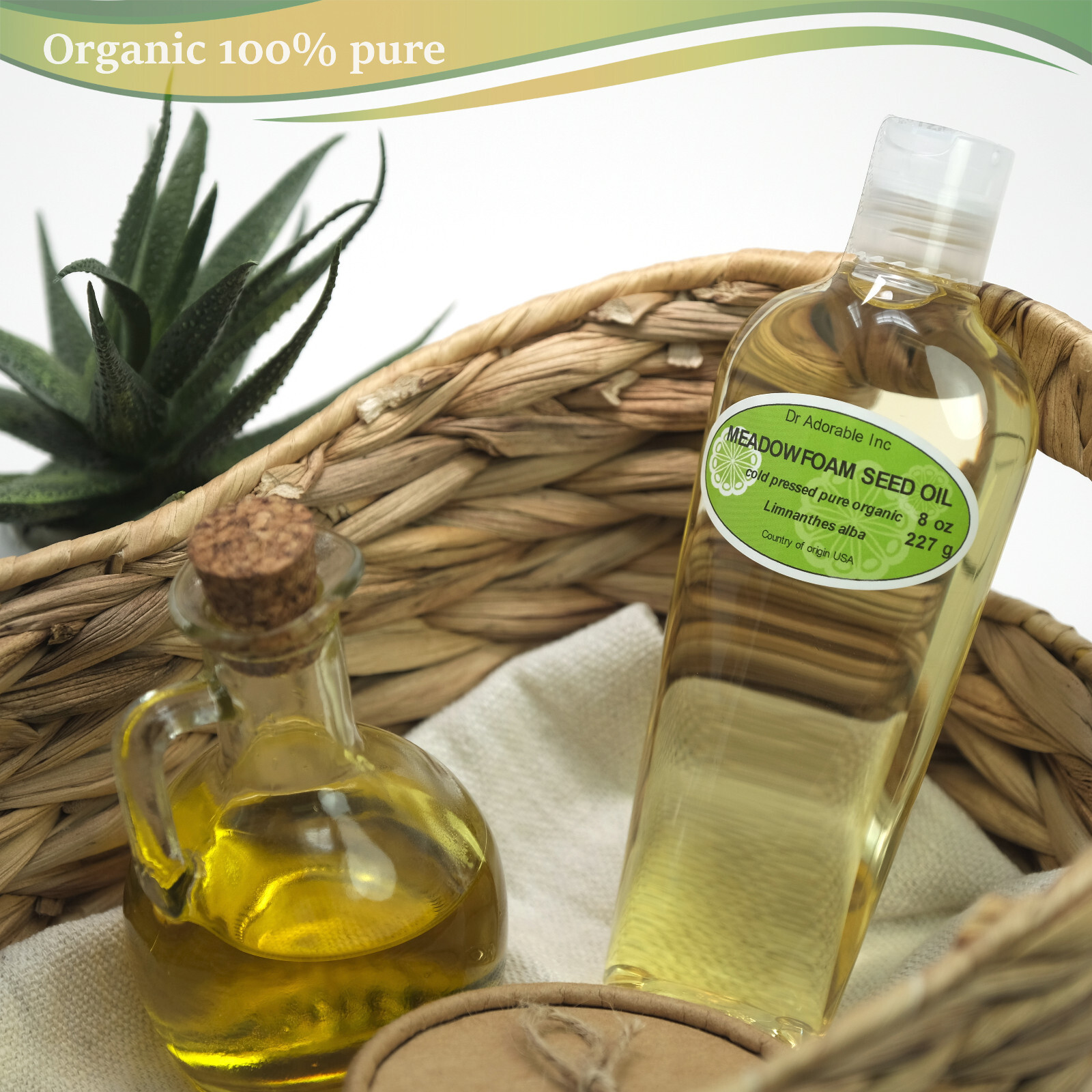 MORINGA OLEIFERA OIL BY DR.ADORABLE 100% PURE ORGANIC COLD PRESSED 2ozUP TO 7 LB