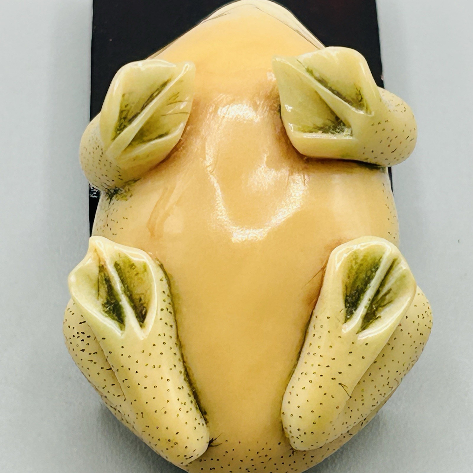 Hand Carved and Painted TAGUA NUT FROG from Hong Kong Rare Vintage Fabulous