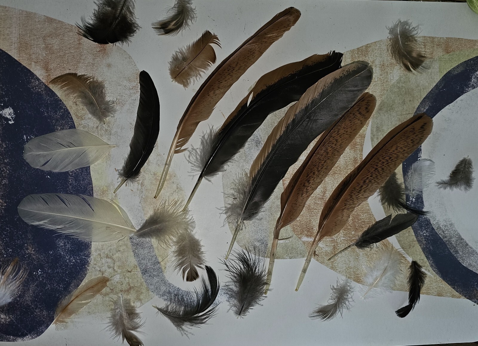 Chicken Rooster + Other feathers, Craft Fly Tying Jewelry! Now, MORE FEATHERS!