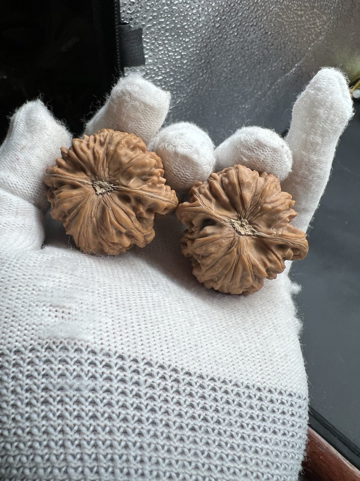 Pair of Match Chinese Health Walnut 40×38.5×36mm 精配文玩核桃～玉龙🐉粗筋狮子头