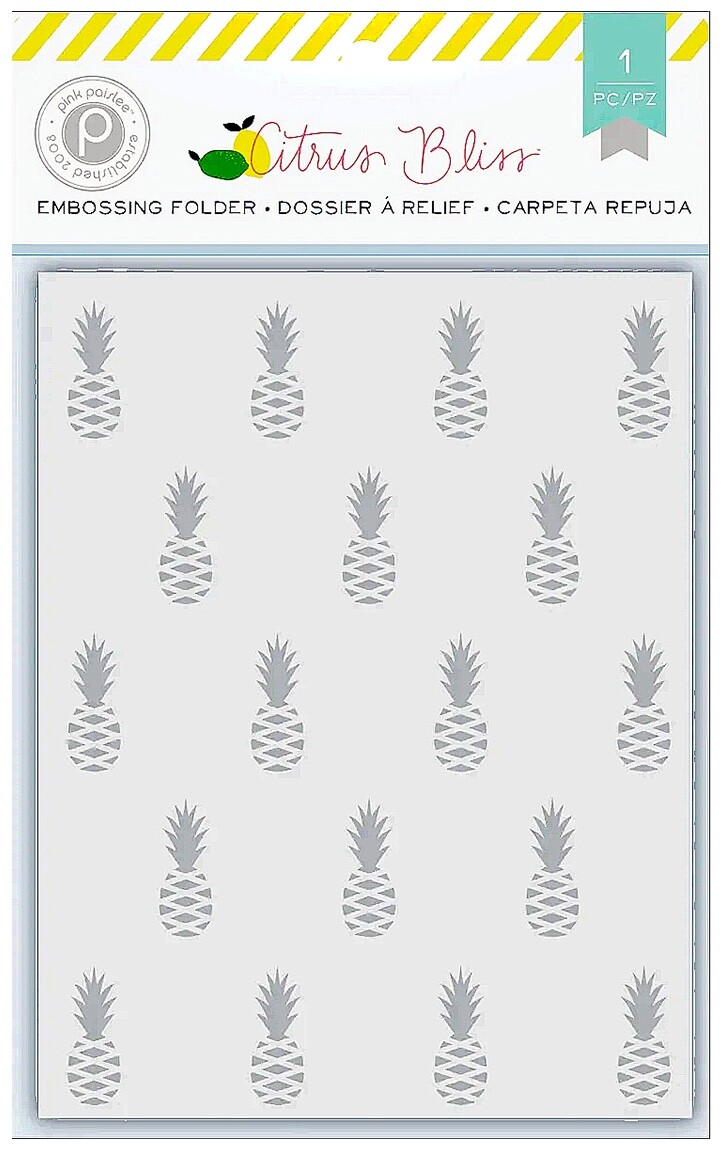 Pink Paisley, Citrus Bliss, Embossing Folder, Pineapple 4″ x 6″, Emboss, Texture