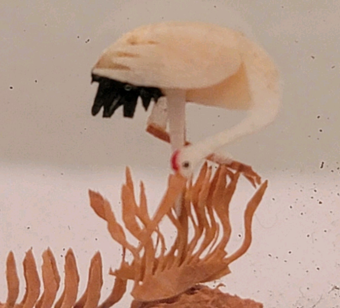 Chinese Cork & Wood Diorama Hand Carved Asian Crane Pagoda Tree Art Glass