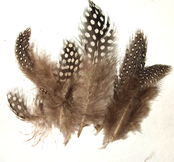 Spotted Guinea Hen Feathers 1-4″ Body Plumage Natural color 1/4 oz bag
