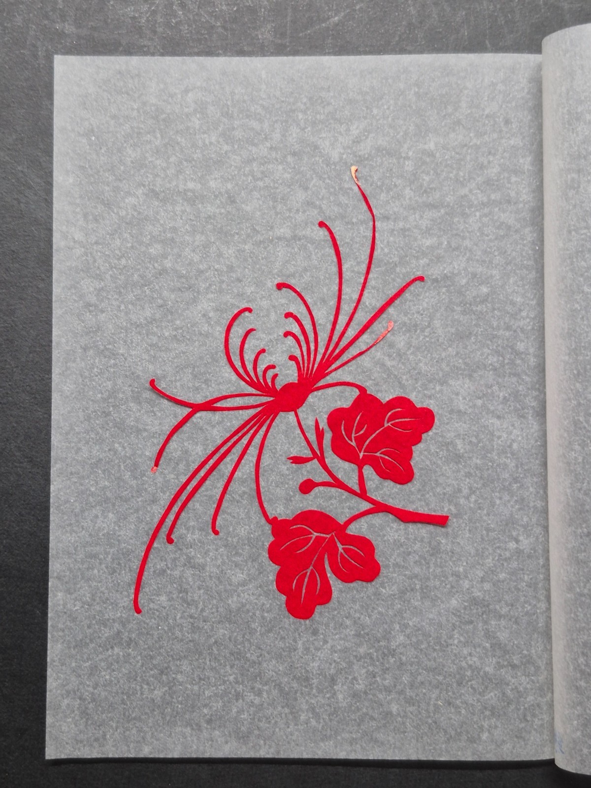 Unused Set of 10 Chinese Folk Art Red Paper cuts Botanical Flowers Designed