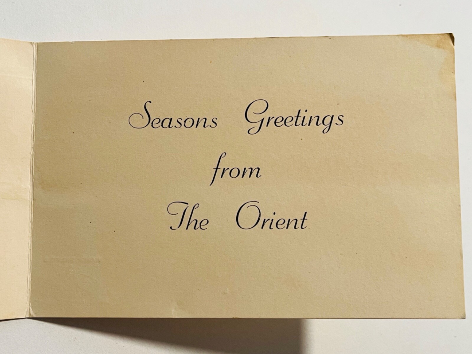 Hong Kong Hand Painted China Seasons Vintage Greetings Card 1950s