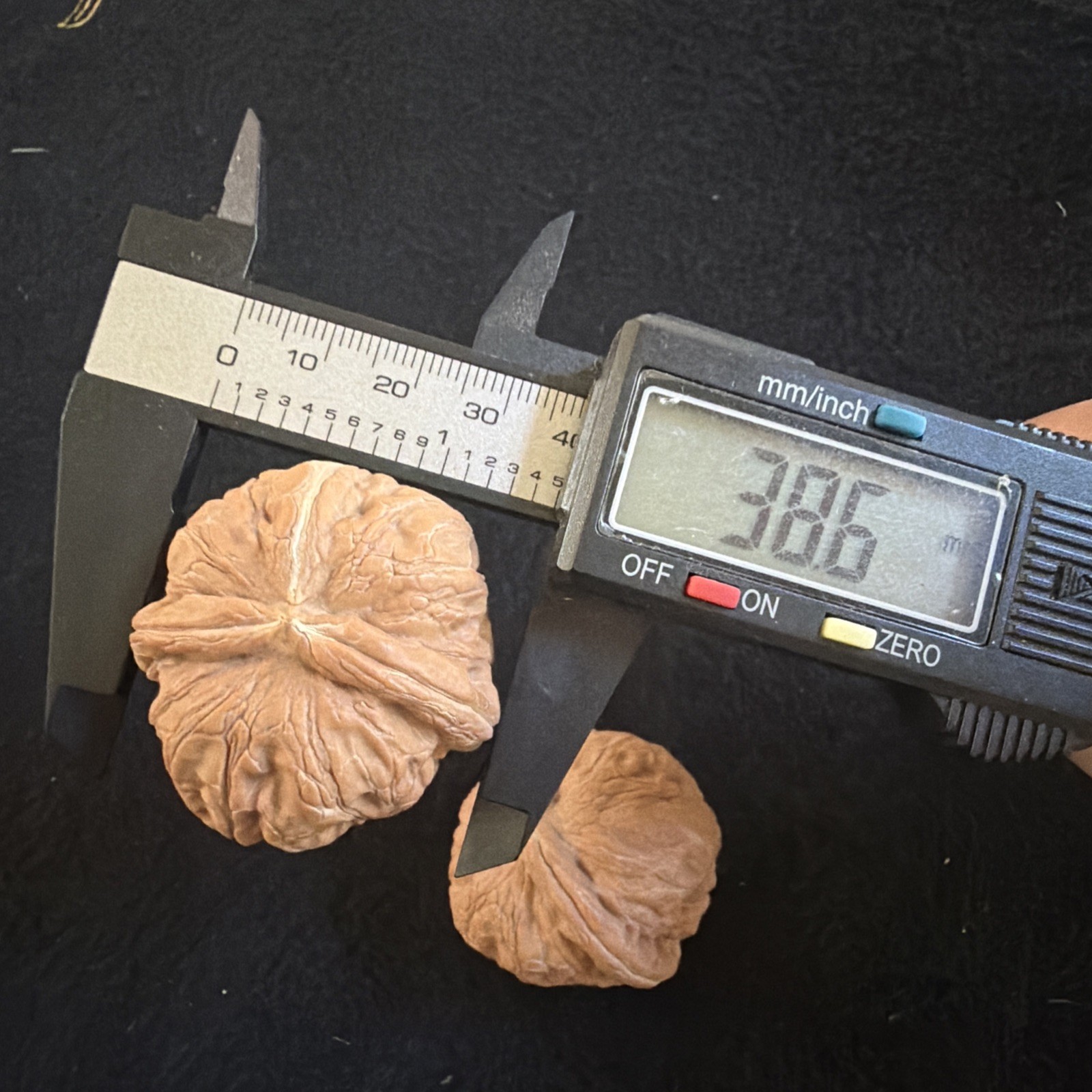 文玩核桃 Ornamental Walnut · Chinese Pocket Curio 2026年新开，精配对无修无打底，#186
