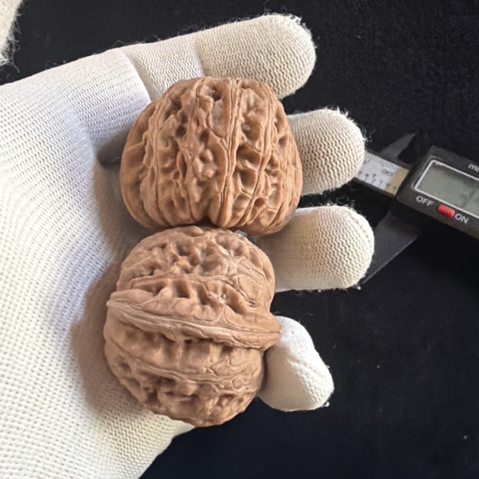文玩核桃 Ornamental Walnut · Chinese Pocket Curio 2026年新开，精配对无修无打底，#192
