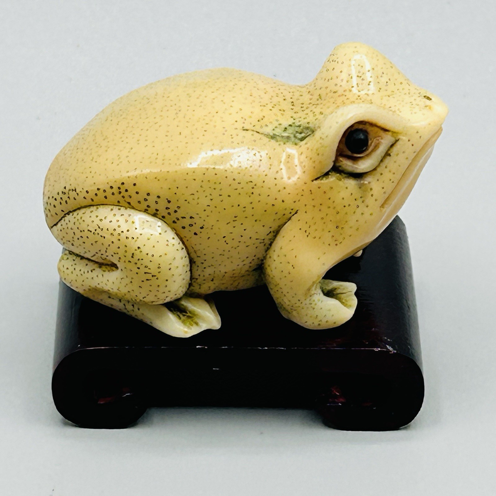 Hand Carved and Painted TAGUA NUT FROG from Hong Kong Rare Vintage Fabulous