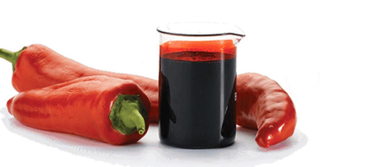 Capsicum Oleoresin Oil Pure & Organic You Pick Size Free Shipping!