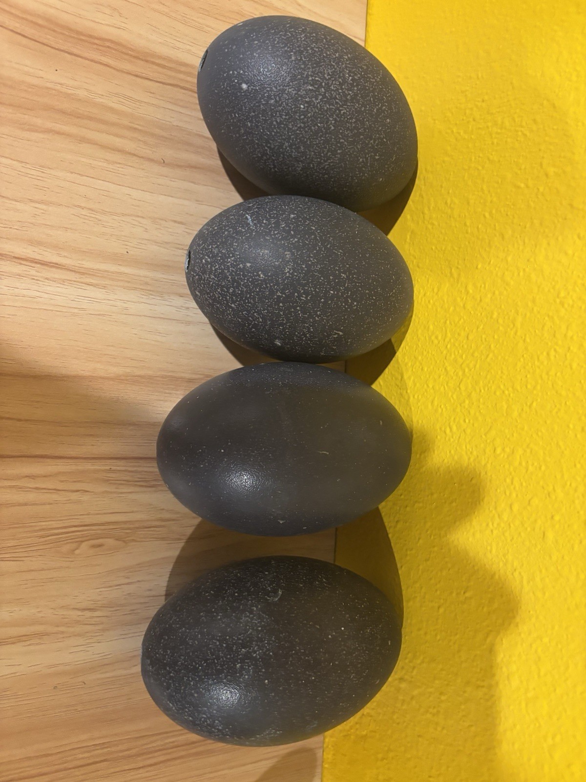 Lot of 4 Black Speckled Blown Emu Egg Shells with Hole for Decorating