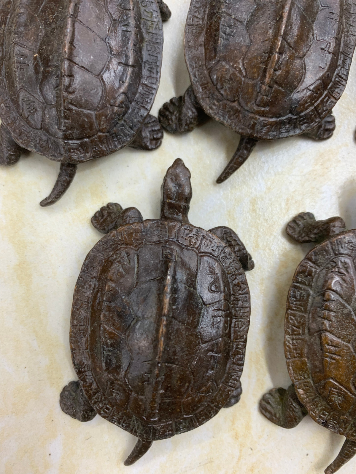 5 Pcs Wonderful Chinese Bronze Hand Made *Turtle* Statues