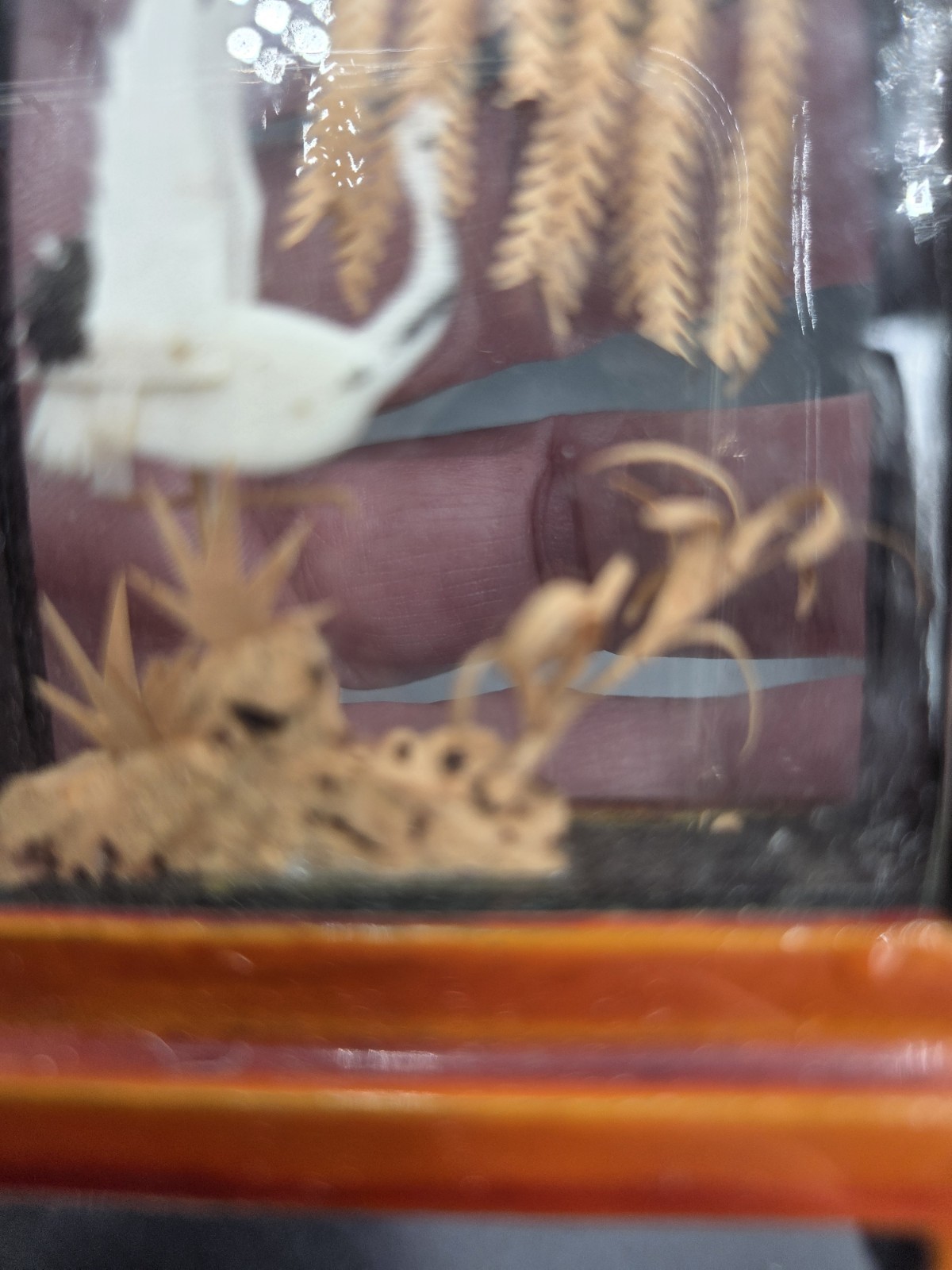 Vintage Asian Carved Cork Diorama Art In Wood/Glass Shadow Boxes 5 pieces