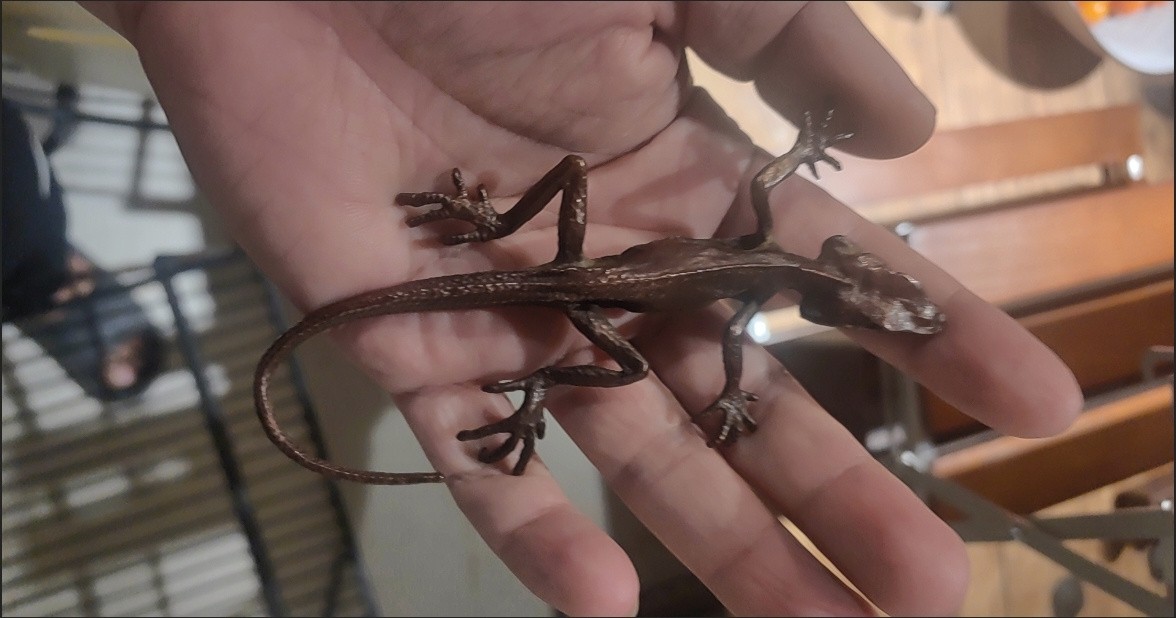 Vintage Alloy Copper Gecko Ornament 6.3in 75g Chinese Antique Craft Decor