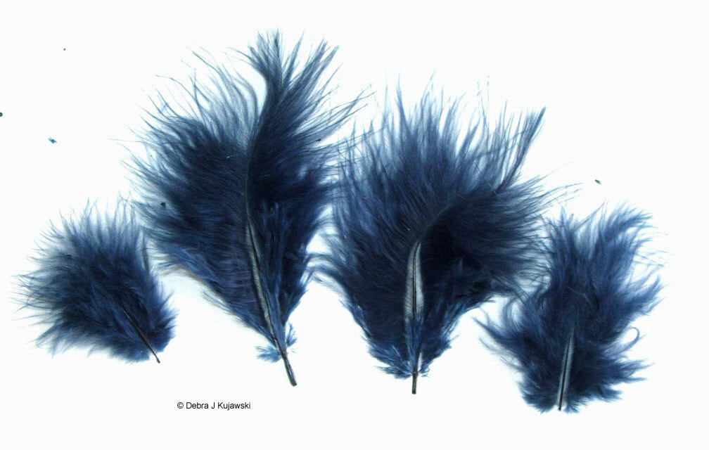Marabou Feathers Small 1-3″ fluffs NAVY BLUE 7 grams approx. 105 per bag