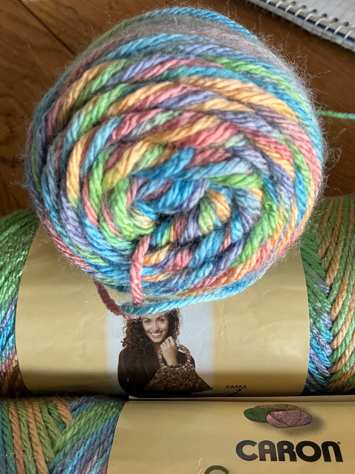 Caron Simply Soft lot of 3 – TAPESTRY same color lot ACRYLIC YARN