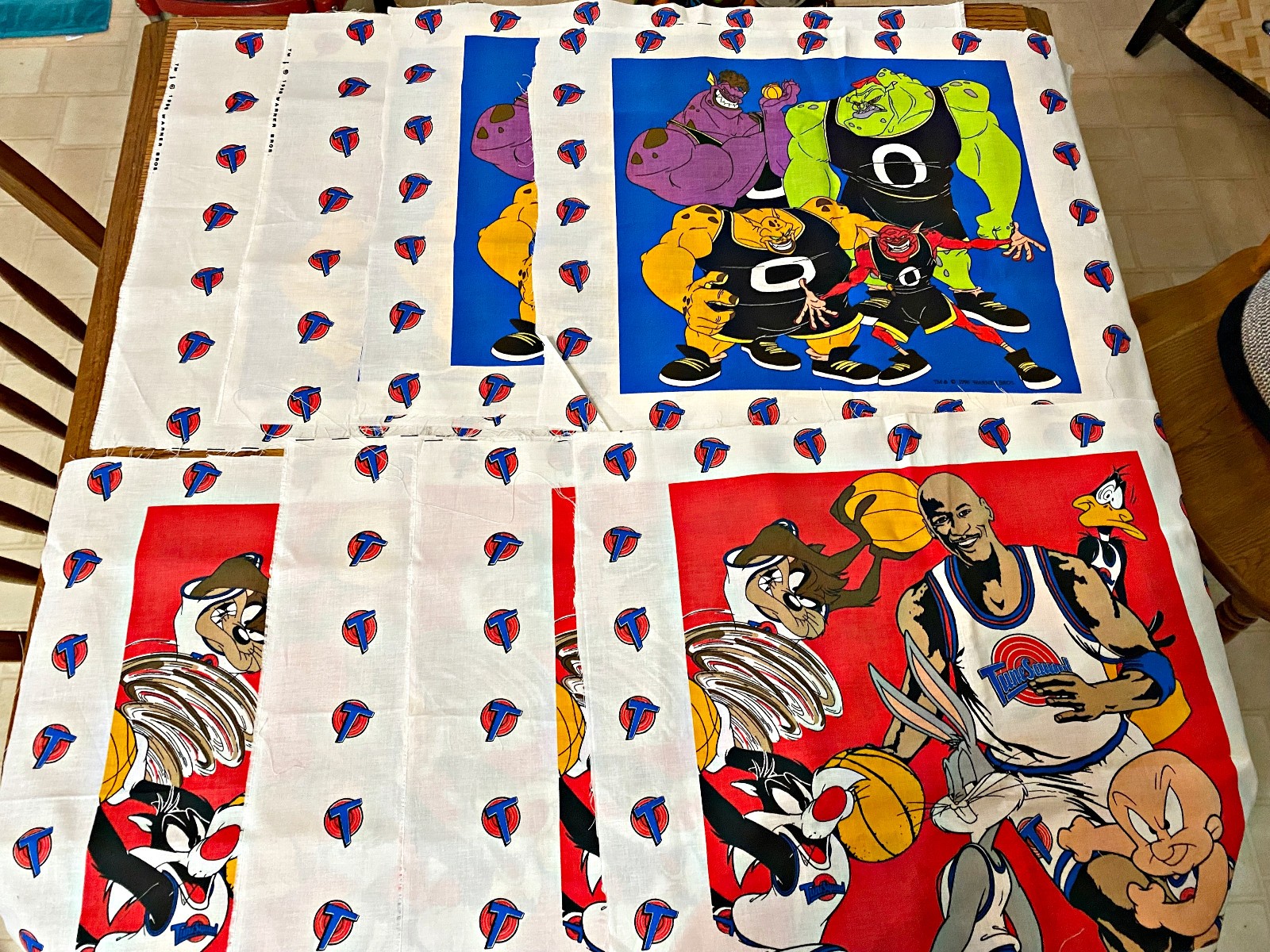 1996 MICHAEL JORDAN SPACE JAM Warner Bros Fabric Panel Basketball Looney Tunes