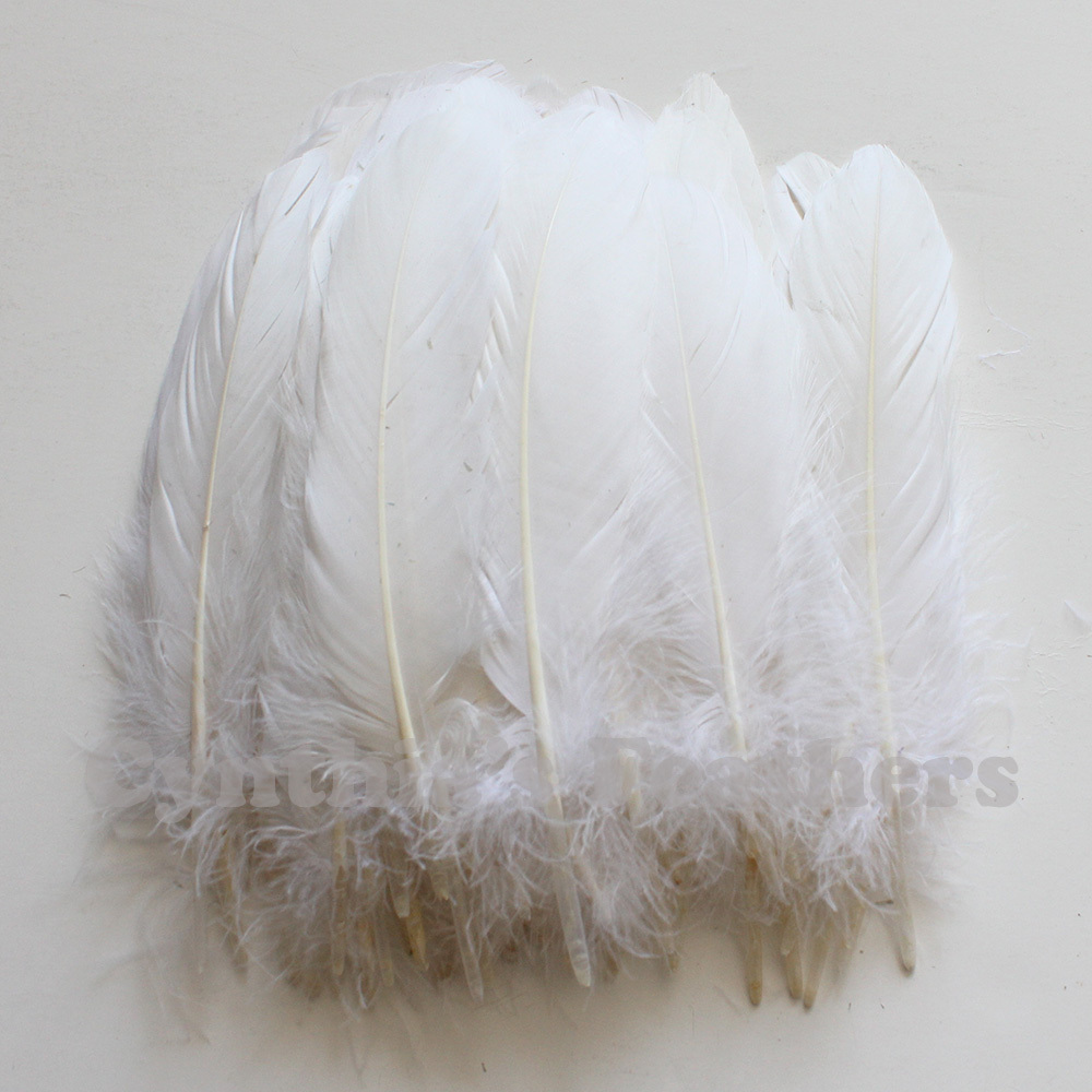 Turkey Feathers, White Turkey Round Quill Feathers 6-8 inches 50 pcs