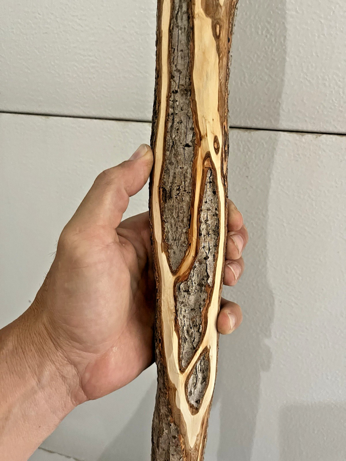 Diamond Willow Cane (You Carve 💎s): 46″ Walking Stick, Twisted wood, Colorful