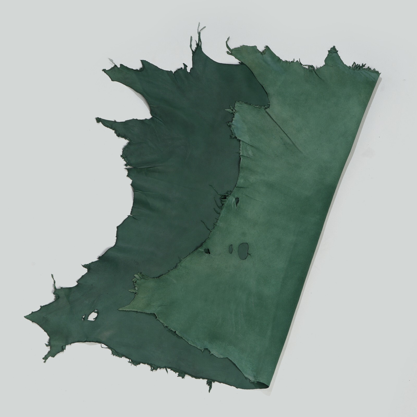 Indian Hides Lambskin soft Leather hide skins Burnt Green 6sqf Real Napa Skin