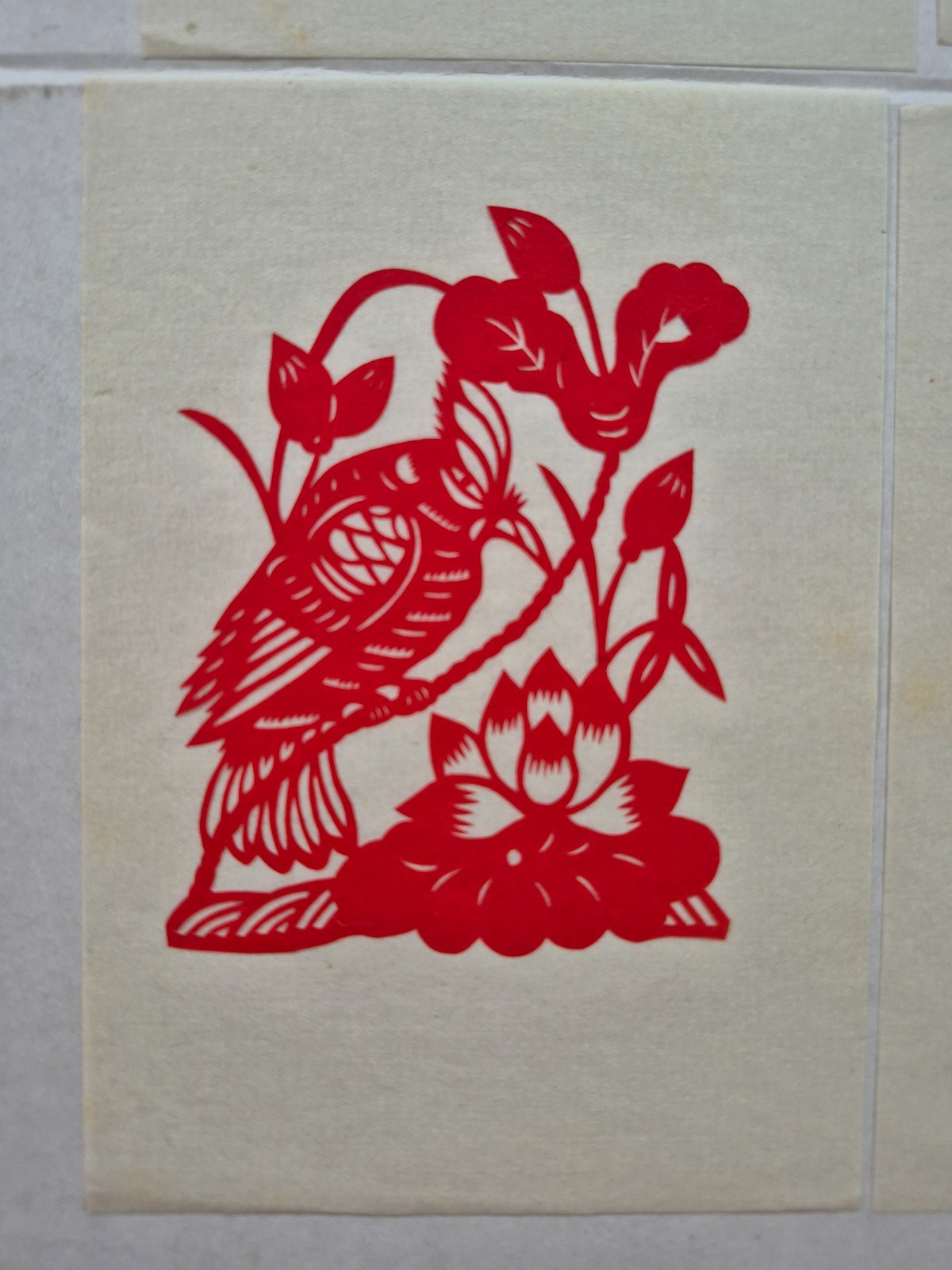 Unused Set of 10 Chinese Folk Art Paper cuts Peacock & various birds Designed