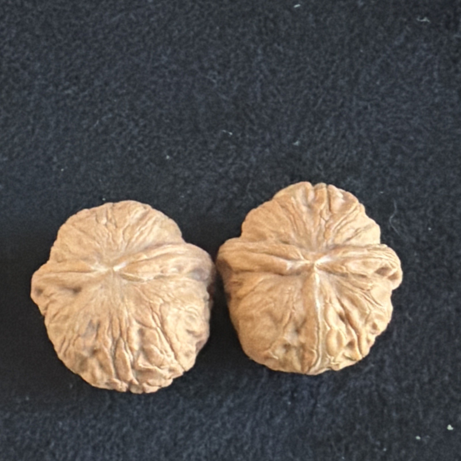 文玩核桃 Ornamental Walnut · Chinese Pocket Curio 2026年新开，精配对无修无打底，#186