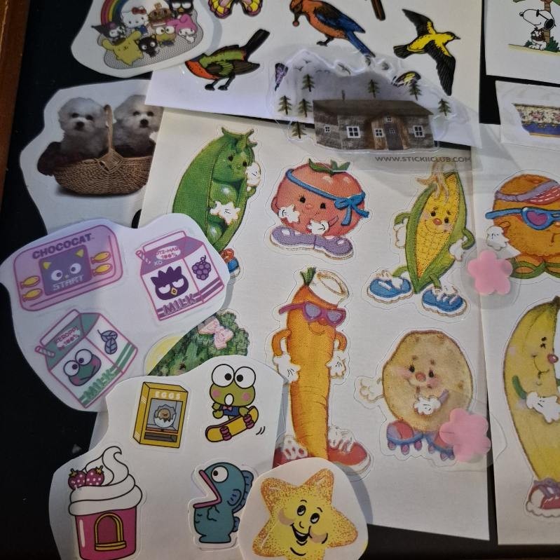 Vintage Modern Sticker Grab Bag Mystery Sandylion Stickii Club Pipsticks