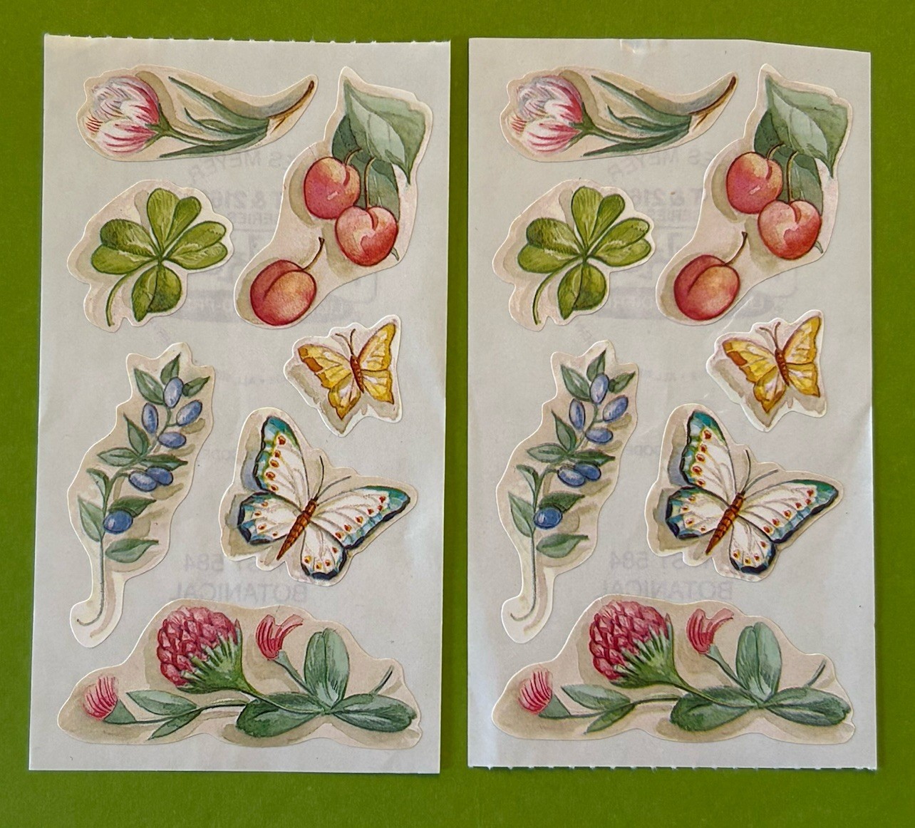 Frances Meyer BOTANICAL Sticker Sheets BUTTERFLY PLANTS