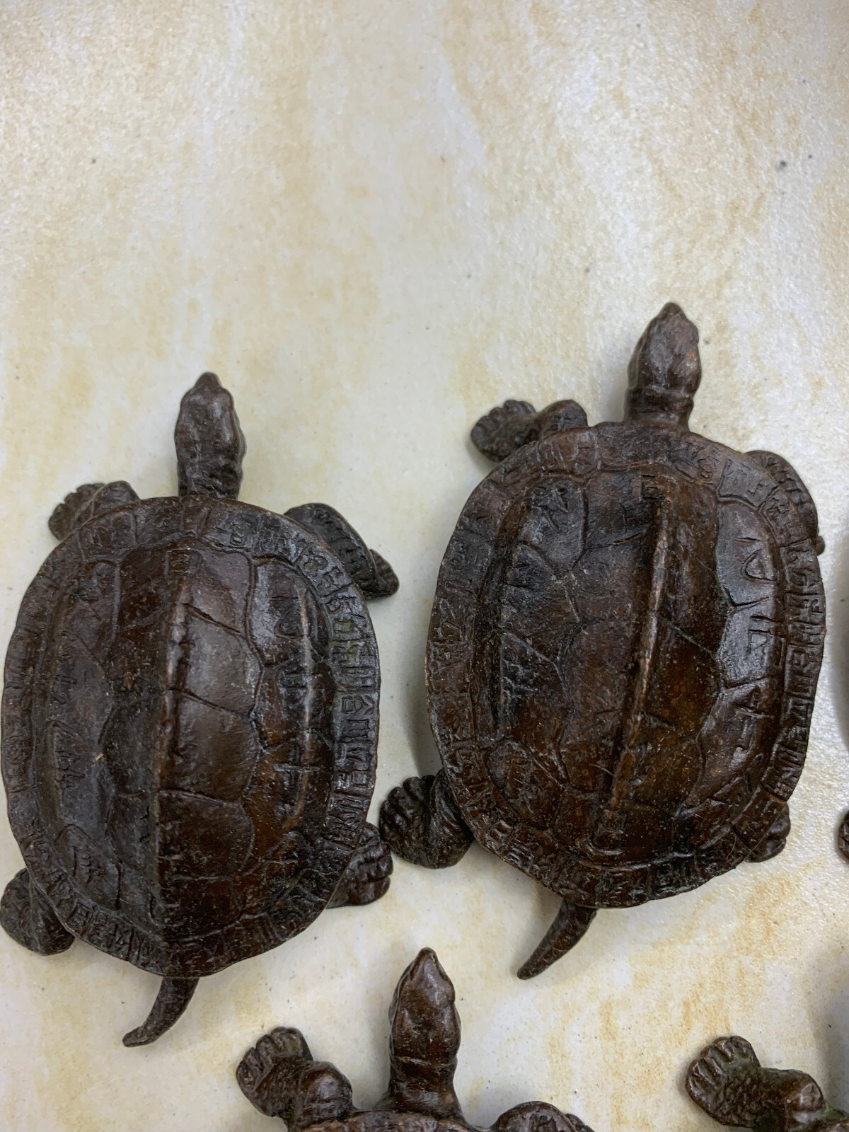 5 Pcs Wonderful Chinese Bronze Hand Made *Turtle* Statues
