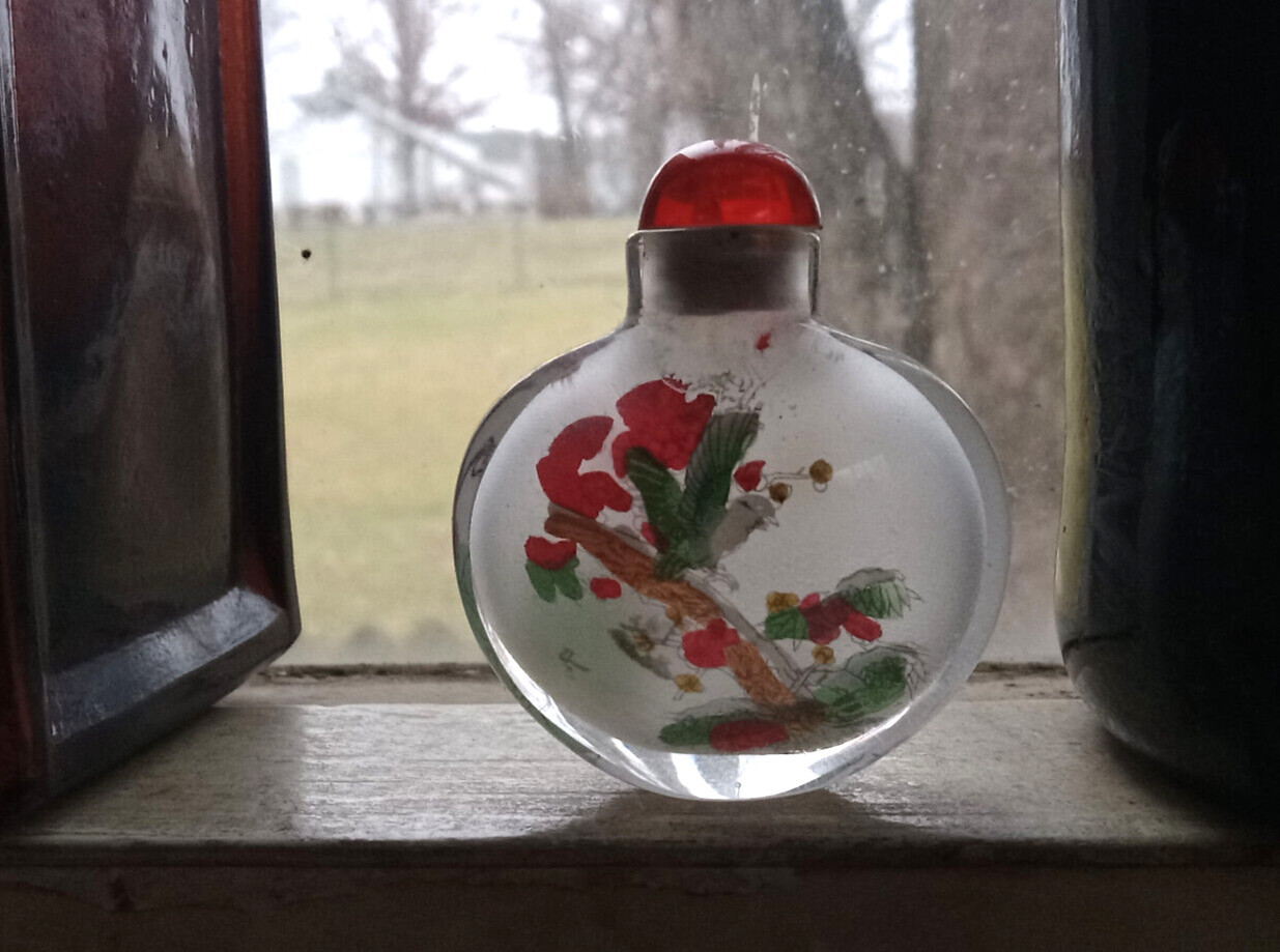VINTAGE CHINESE REVERSE INSIDE PAINTED GLASS SNUFF BOTTLE WITH BIRDS & FLOWERS