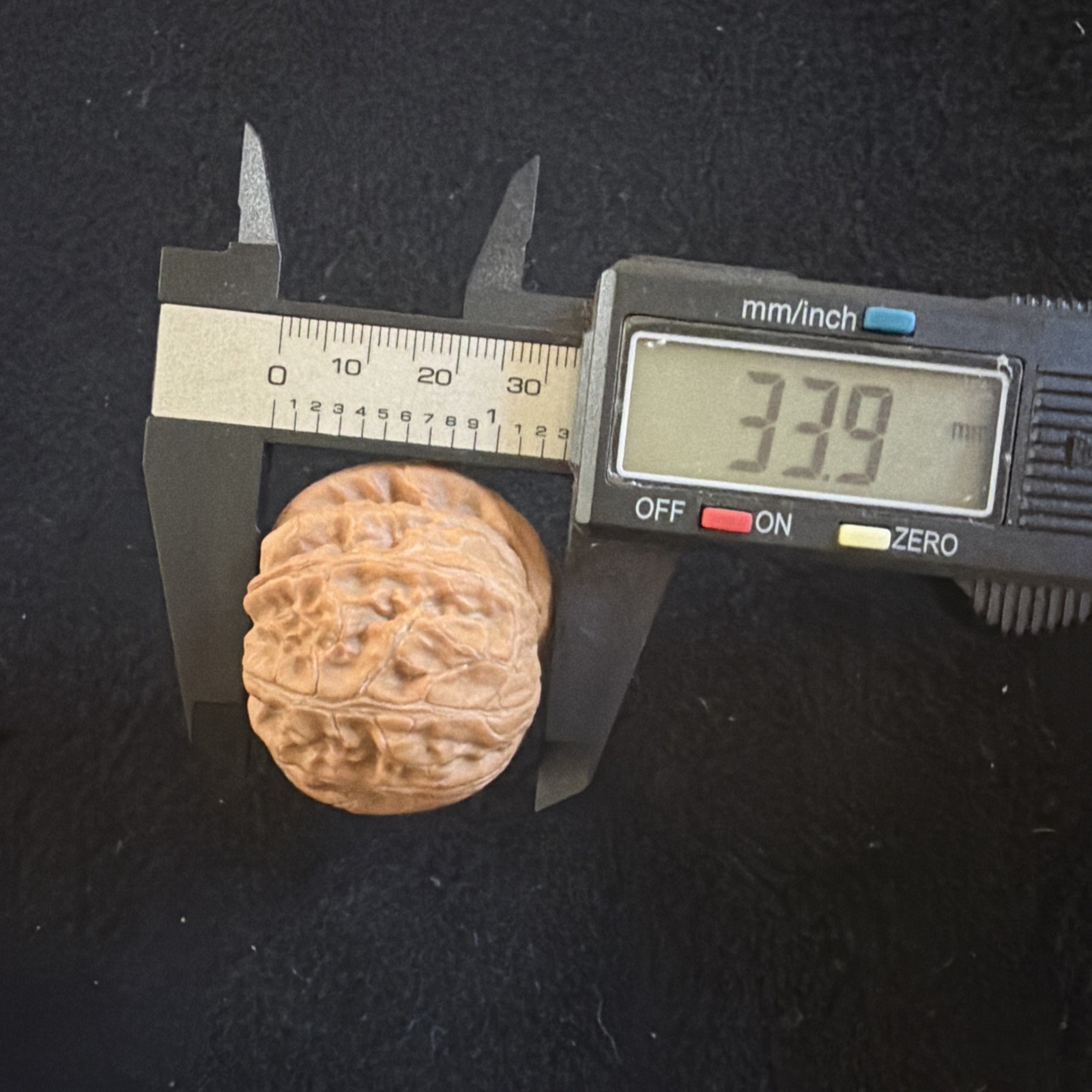 文玩核桃 Ornamental Walnut · Chinese Pocket Curio 2026年新开，精配对无修无打底，#185