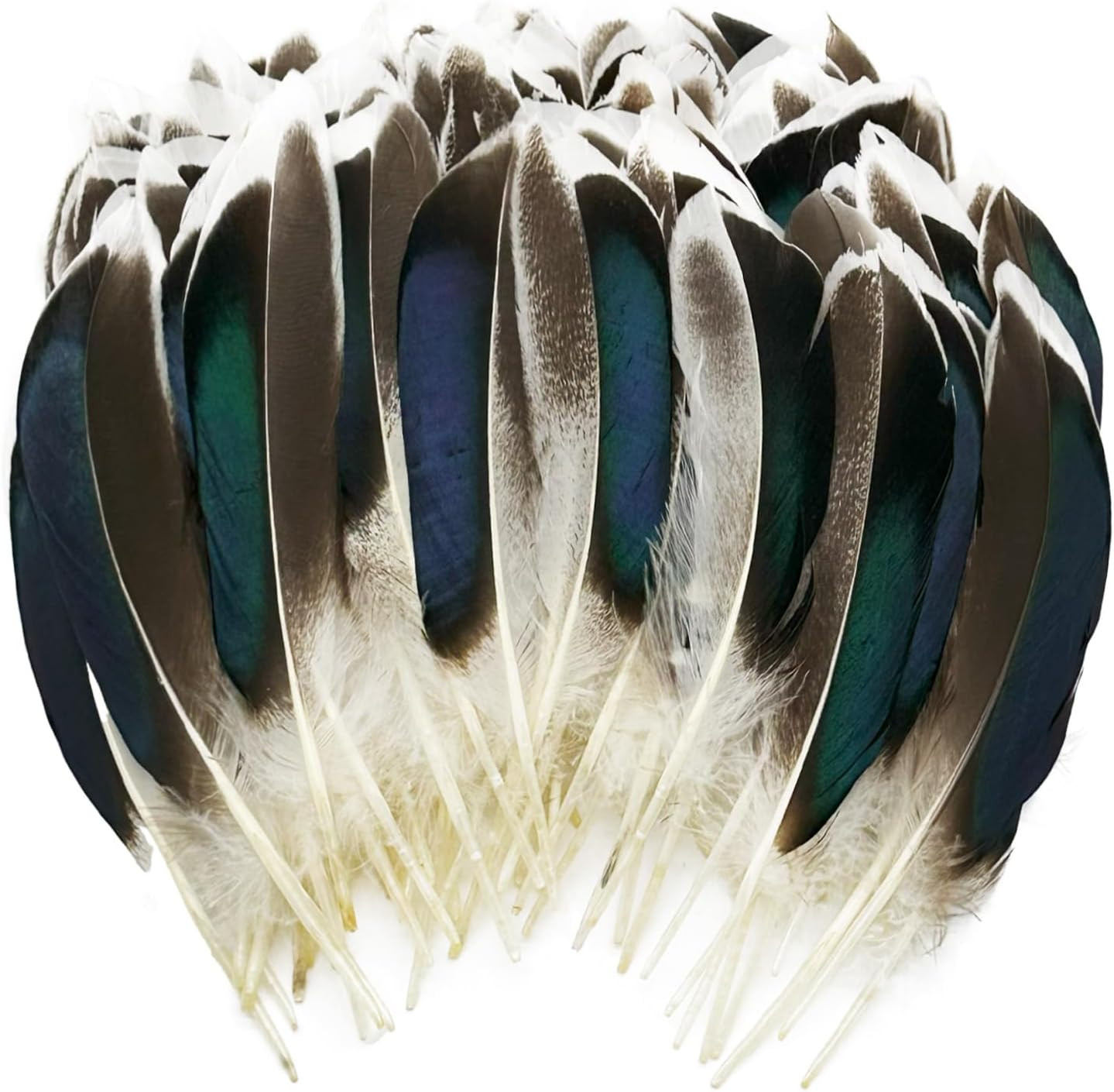 200Pcs Duck Feathers Natural Spotted Feathers Wild Turkey Feather for Crafts Hat