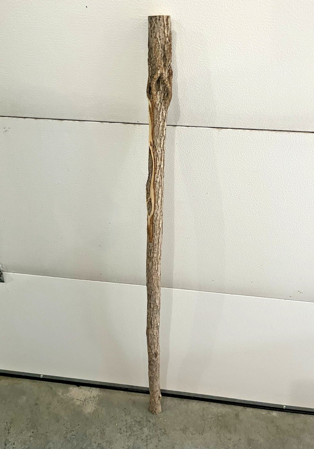 Diamond Willow Cane (You Carve 💎s): 46″ Walking Stick, Twisted wood, Colorful